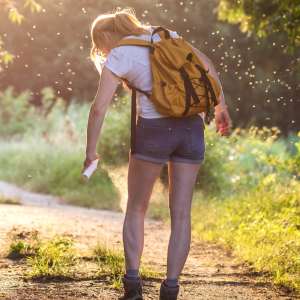 Insect Bee Stings Treatment Near Me in Fairfax, VA