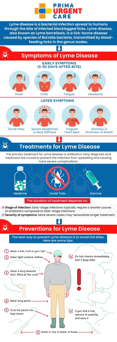 Common questions asked by patients: What is Lyme disease, and how is it transmitted? What are the early signs and symptoms of Lyme disease? When should you get tested for Lyme disease after a tick bite? How is Lyme disease diagnosed at an urgent care clinic? At Prima Urgent Care, our professional medical team provides personalized Lyme disease evaluation and testing for patients experiencing symptoms such as fatigue, fever, headaches, joint discomfort, or skin rashes following a possible tick bite in Fairfax, VA. Lyme disease is a tick-borne bacterial infection that requires timely medical assessment to help prevent potential complications. Our clinic focuses on reviewing each patient's symptoms, recent outdoor activities, possible tick exposure, and medical history to determine whether diagnostic testing is appropriate. For more information, contact us or book an appointment online. We are conveniently located at 3903 Fair Ridge Dr Suite Q, Fairfax, VA 22033. We serve patients from Fairfax VA, South Riding VA, Dulles VA, Chantilly VA, Stone Ridge VA, Oakton VA, Legato VA, Burke VA, Oak Hill VA, Lees Corner VA & BEYOND! Our Fairfax location is close to Fair Oaks Hospital, Fair Oaks Mall, and Greenbriar Shopping Center. Common questions asked by patients: What is Lyme disease, and how is it transmitted? What are the early signs and symptoms of Lyme disease? When should you get tested for Lyme disease after a tick bite? How is Lyme disease diagnosed at an urgent care clinic?
At Prima Urgent Care, our professional medical team provides personalized Lyme disease evaluation and testing for patients experiencing symptoms such as fatigue, fever, headaches, joint discomfort, or skin rashes following a possible tick bite in Fairfax, VA. Lyme disease is a tick-borne bacterial infection that requires timely medical assessment to help prevent potential complications. Our clinic focuses on reviewing each patient's symptoms, recent outdoor activities, possible tick exposure, and medical history to determine whether diagnostic testing is appropriate. For more information, contact us or book an appointment online. We are conveniently located at 3903 Fair Ridge Dr Suite Q, Fairfax, VA 22033. We serve patients from Fairfax VA, South Riding VA, Dulles VA, Chantilly VA, Stone Ridge VA, Oakton VA, Legato VA, Burke VA, Oak Hill VA, Lees Corner VA & BEYOND! Our Fairfax location is close to Fair Oaks Hospital, Fair Oaks Mall, and Greenbriar Shopping Center.